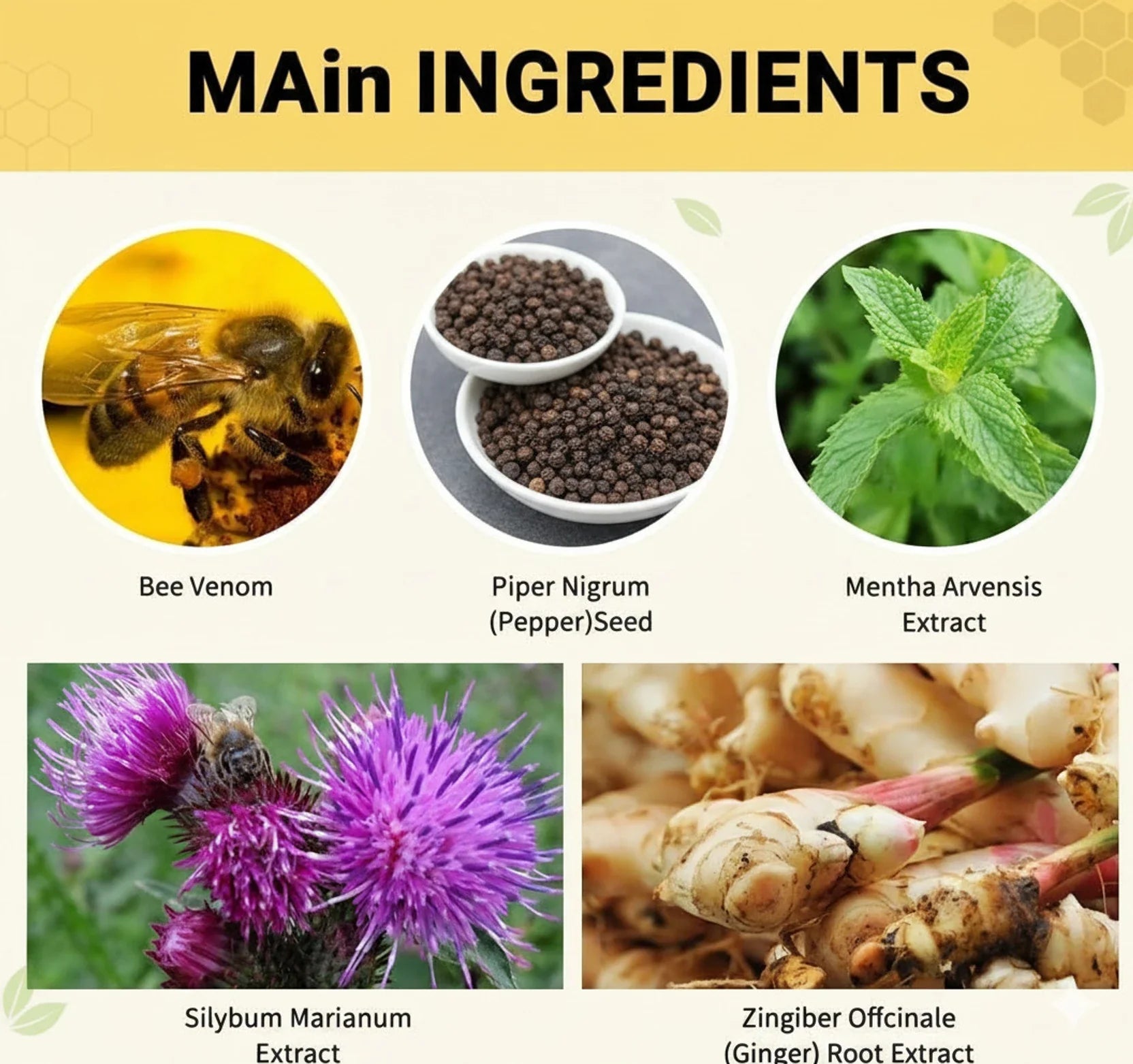 Bee Venom Lymphatic Daiamage & Sliming Patches 10 Patches